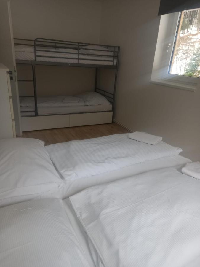 Apartmany Za Sneznikem Dolni Morava Luaran gambar
